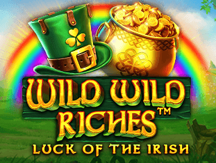 Wild Wild Riches game cover