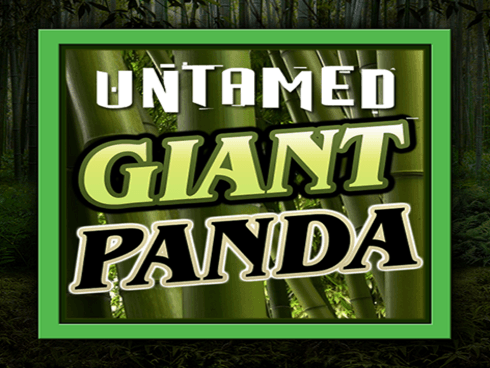 Untamed - Giant Panda game cover