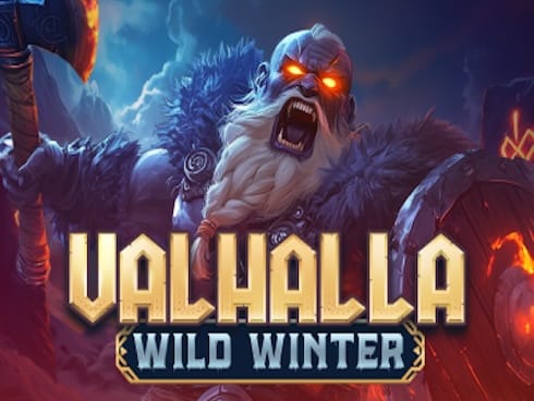 Valhalla Wild Winter game cover
